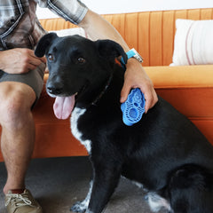 ZoomGroom Boysenberry