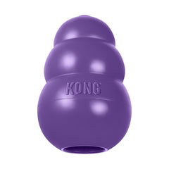 KONG Senior