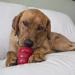 Snacks Peanut Butter