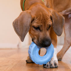 KONG Puppy Tires Blue