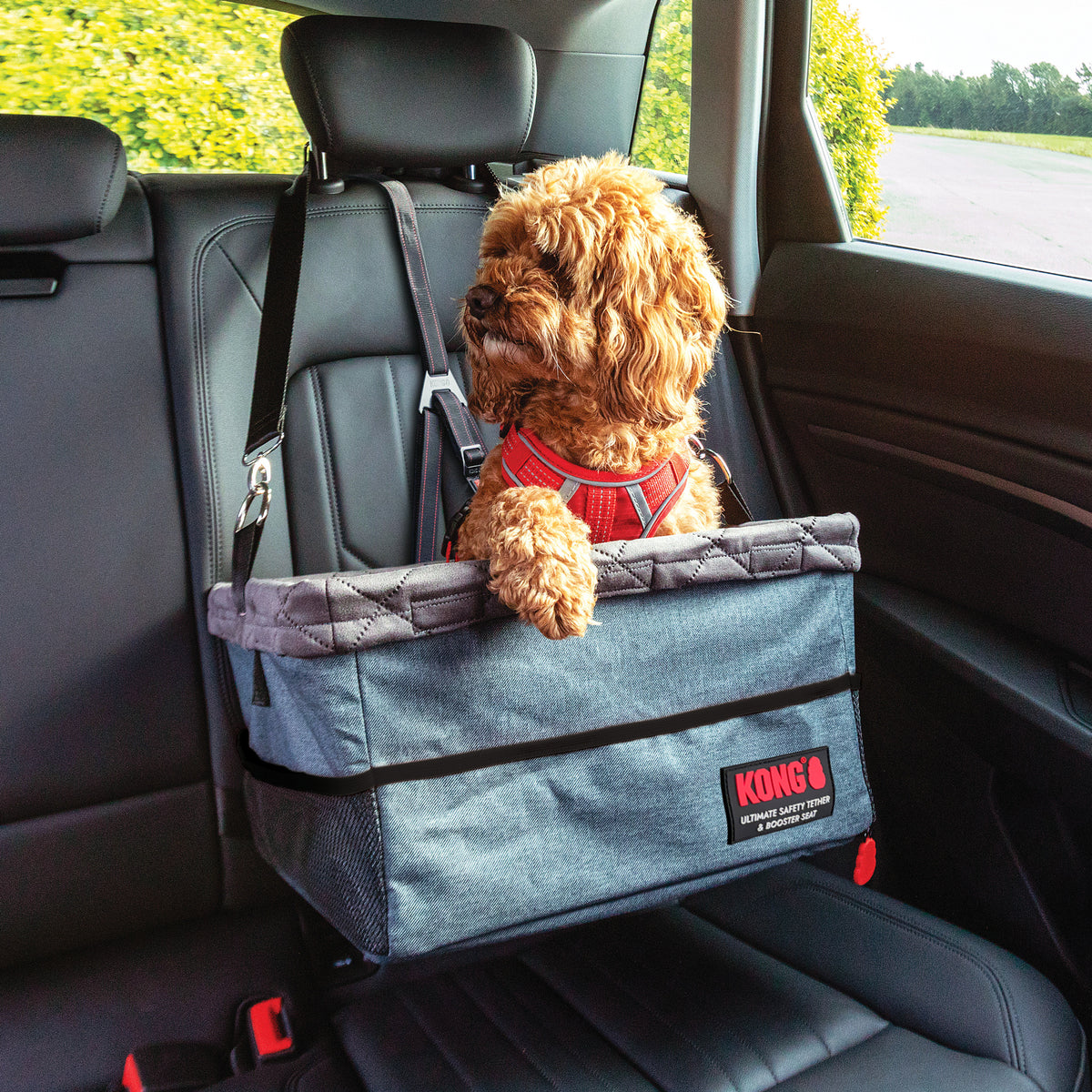 KONG Utility Safety Tether and Booster Seat